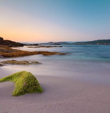 Ile za godzinę pracy 2023 netto?
